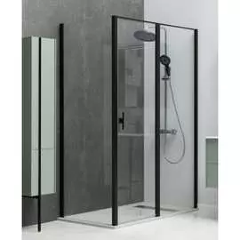 Душевая дверь ALLEN BRAU Priority 3.31006.BBA 00252369