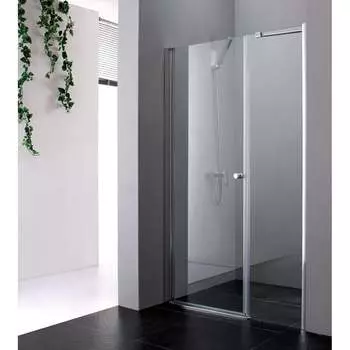 Душевая дверь Cezares