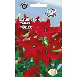 Душистый табак семена СеДек