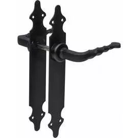 Дверная ручка Amig