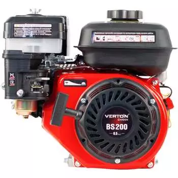 Двигатель VERTON GARDEN BS-200/19 01.5985.6350