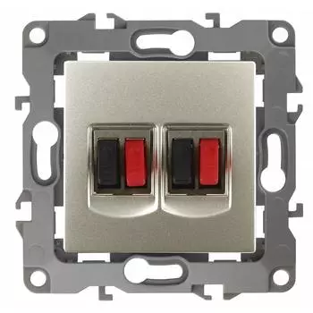 Двойная розетка аудио ЭРА 12-3112-04 Б0027464