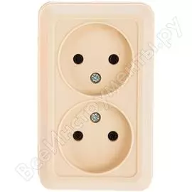 Розетка TDM ELECTRIC Ладога SQ1801-0018