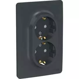 Двойная розетка Schneider Electric