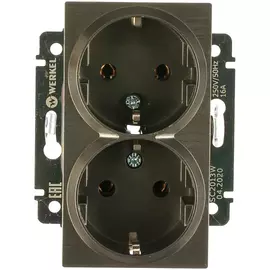 Двойная розетка WERKEL W1172004 a050745