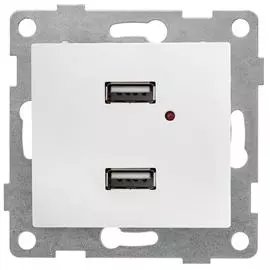 Двойной механизм розетки GUSI Electric С10USB2-028