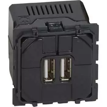 Двойной механизм usb розетки Legrand