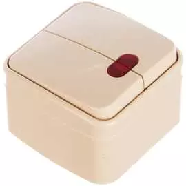 Двойной выключатель Intro