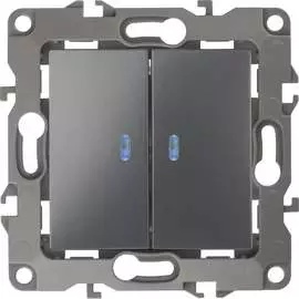 Двойной выключатель ЭРА 12110512 Б0019291