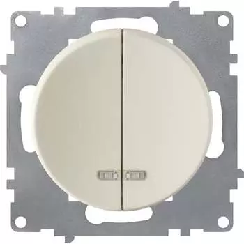 Двойной выключатель OneKeyElectro 2172802