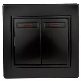 Двойной выключатель Intro