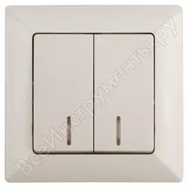 Двойной выключатель Intro