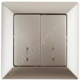 Двойной выключатель Intro