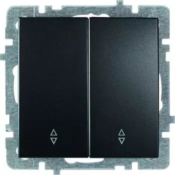 Двухклавишьный механизм выключателя Nilson TOURAN-ALEGRA-THOR 24380409