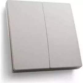 Двухклавишный беспроводной выключатель-кнопка FERON TM82 41720