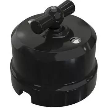 Двухклавишный фарфоровый поворотный выключатель Мезонинъ аврора GE70403-05