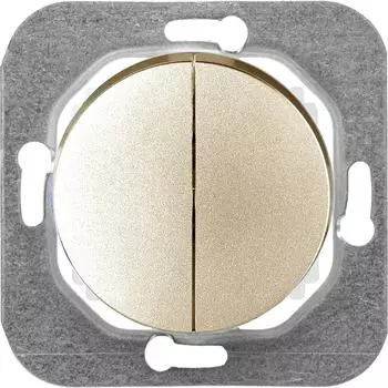 Двухклавишный механизм выключателя BYLECTRICA