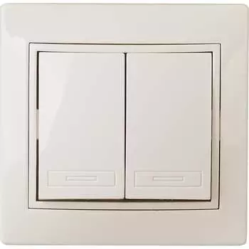 Двухклавишный переключатель Intro 110702 10А250В Б0053804