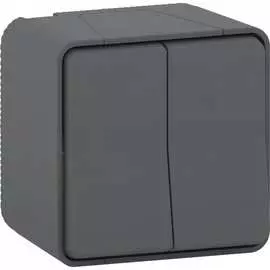 Двухклавишный переключатель Schneider Electric