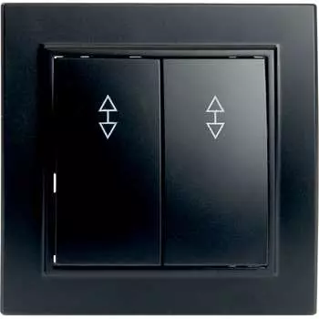 Двухклавишный переключатель STEKKER psw10-9008-03 39921