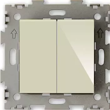 Двухклавишный проходной переключатель CGSS Эстетика GL-W102-PBGG
