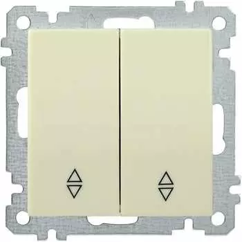 Двухклавишный проходной выключатель IEK