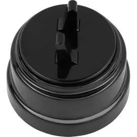 Двухклавишный тумблерный выключатель BYLECTRICA серия РЕТРО А510-2204 черный