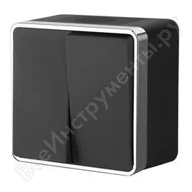 Влагозащищенный двухклавишный выключатель WERKEL W5020235 a050976