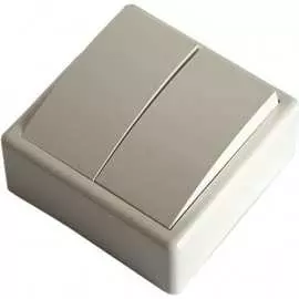 Двухклавишный выключатель Apeyron