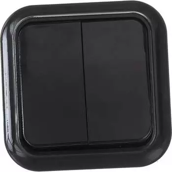 Двухклавишный выключатель BYLECTRICA ПРАЛЕСКА А56-134 черный