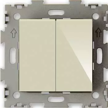 Двухклавишный выключатель CGSS Эстетика GL-W102-BGG