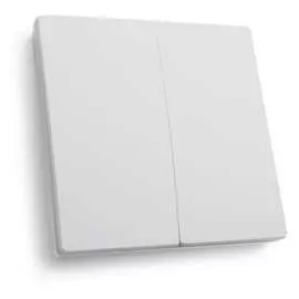 Двухклавишный выключатель дистанционного управления FERON TM82 41129