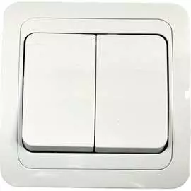 Двухклавишный выключатель Econ