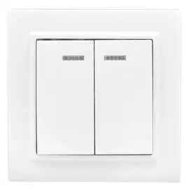 Двухклавишный выключатель EKF Минск ERV10-123-10