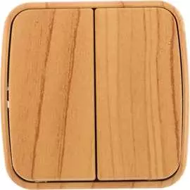 Двухклавишный выключатель EKF Минск EGV10-023-30