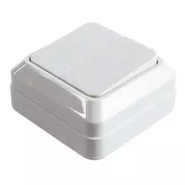 Двухклавишный выключатель EKF Рим ENV10-023-10