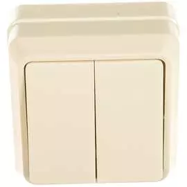 Двухклавишный выключатель IEK