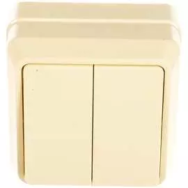 Двухклавишный выключатель IEK ОКТАВА EVO20-K33-10-DC