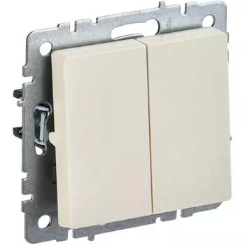 Двухклавишный выключатель IEK Brite вс10-2-0-бркр BR-V20-0-10-K10