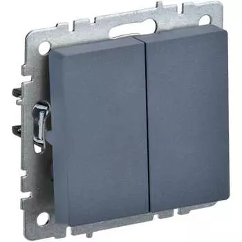 Двухклавишный выключатель IEK Brite вс10-2-0-брм BR-V20-0-10-K35