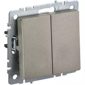 Двухклавишный выключатель IEK Brite вс10-2-0-брш BR-V20-0-10-K37