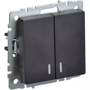 Двухклавишный выключатель IEK Brite вс10-2-1-брч BR-V20-1-10-K02