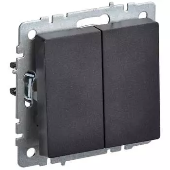 Двухклавишный выключатель IEK Brite вс10-2-0-брч BR-V20-0-10-K02