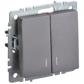 Двухклавишный выключатель IEK Brite вс10-2-1-брс BR-V20-1-10-K46
