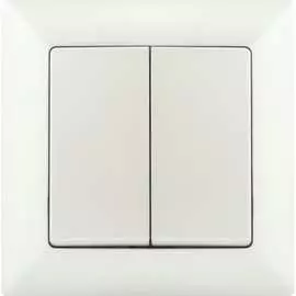 Двухклавишный выключатель Intro Solo 4-104-06 Б0053590