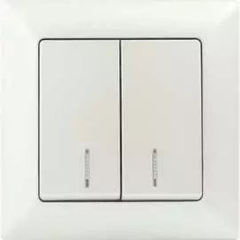 Двухклавишный выключатель Intro Solo 4-105-06 Б0053598