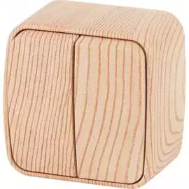 Двухклавишный выключатель Intro