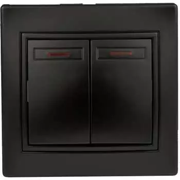 Двухклавишный выключатель Intro Plano 1-105-05 Б0053780