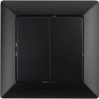 Двухклавишный выключатель Intro Solo 4-104-05 Б0053589