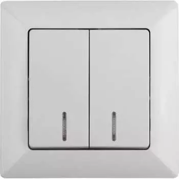 Двухклавишный выключатель Intro Solo 4-105-01 Б0053593